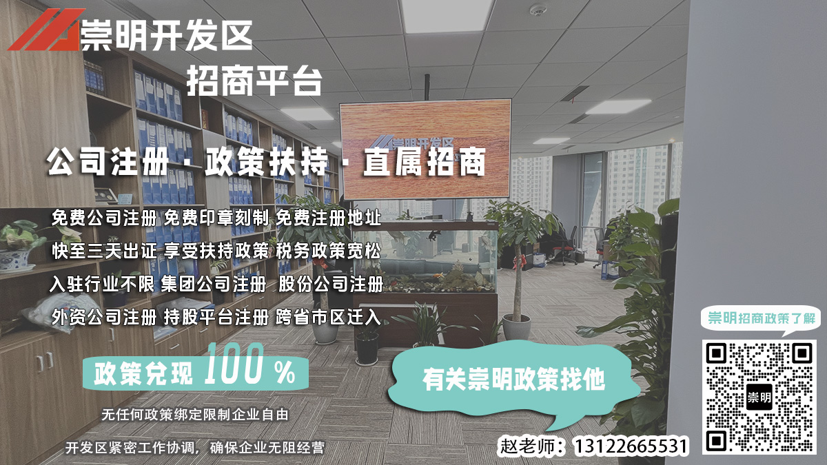 崇明经济开发区注册保险咨询，如何进行核名？